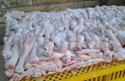 grade a halal processed frozen chicken feet - product's photo