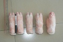 frozen pork front feet - product's photo