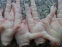 frozen chicken feet grade a - product's photo