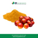 camu camu cherry extract powder - product's photo