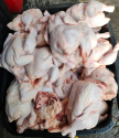 wholesale chicken suppliers - manufacturers frozen chicken | jbs foods - product's photo