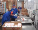 frozen shawarma chicken, halal frozen boneless, frozen chicken shawarm - product's photo