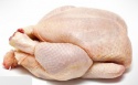 halal frozen whole chicken for sale - product's photo