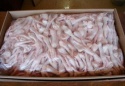 wholesale suppliers bulk exporters of chicken feet  - product's photo