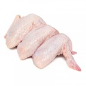 chicken wings mid joint  brazil   - product's photo