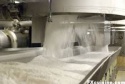 white suger - product's photo