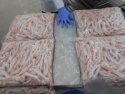 natural frozen chicken feet and paws - product's photo