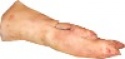 frozen pork hind feet - product's photo