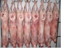 halal certified frozen beef - product's photo