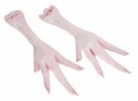 halal certified frozen chicken feet - product's photo