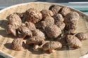 dried shiitake mushroom - product's photo