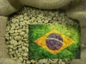 arabica coffee green - product's photo