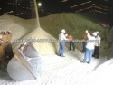 sugar icumsa 45 - product's photo