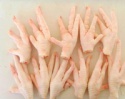 chicken paws brazil - product's photo
