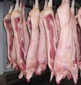 grade a fresh pork - product's photo