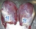  beef/buffalo meat - product's photo