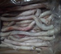 frozen beef penis - product's photo