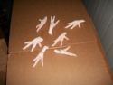 grade a frozen chicken paw - product's photo