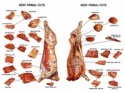 brazilian frozen boneless beef meat - product's photo